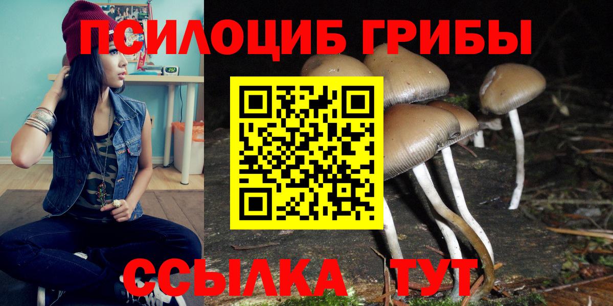 Псилоцибиновые грибы MAGIC MUSHROOMS  Вход с VPN  Сургут 